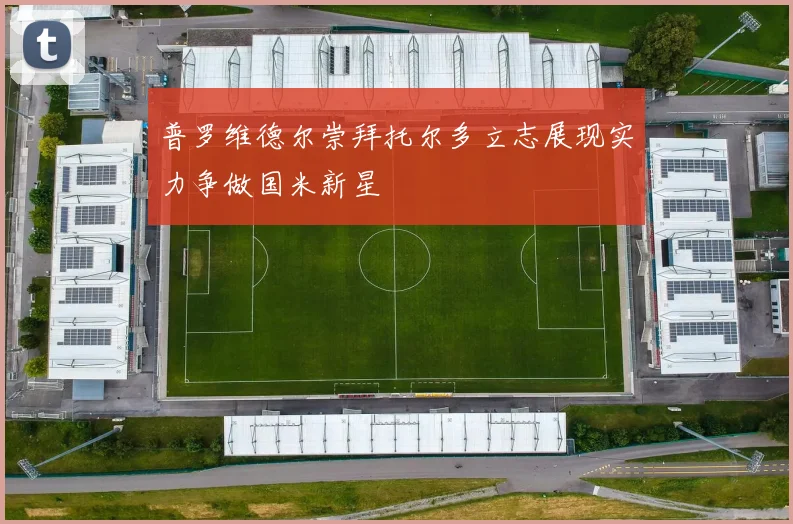 普罗维德尔崇拜托尔多立志展现实力争做国米新星