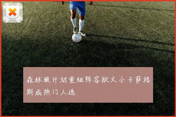 森林狼计划重组阵容欧文小卡萨格斯成热门人选