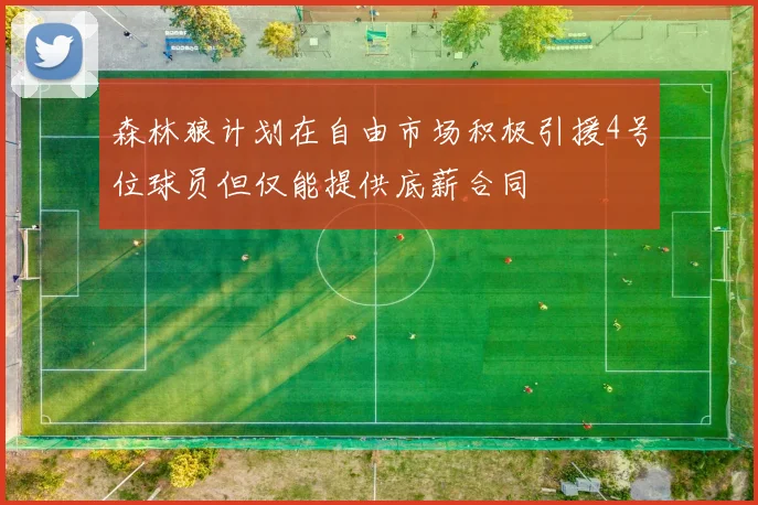 森林狼计划在自由市场积极引援4号位球员但仅能提供底薪合同