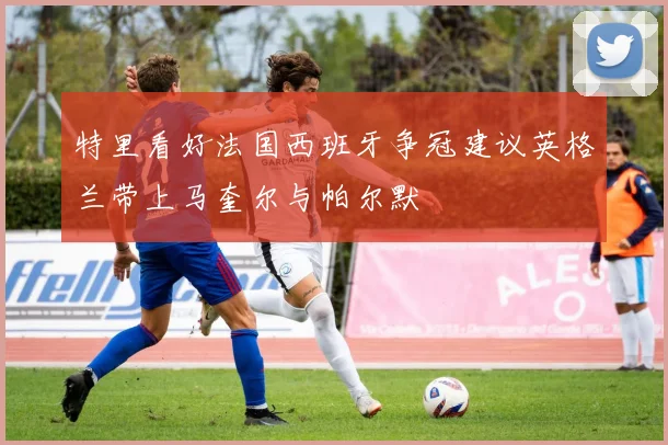 特里看好法国西班牙争冠建议英格兰带上马奎尔与帕尔默